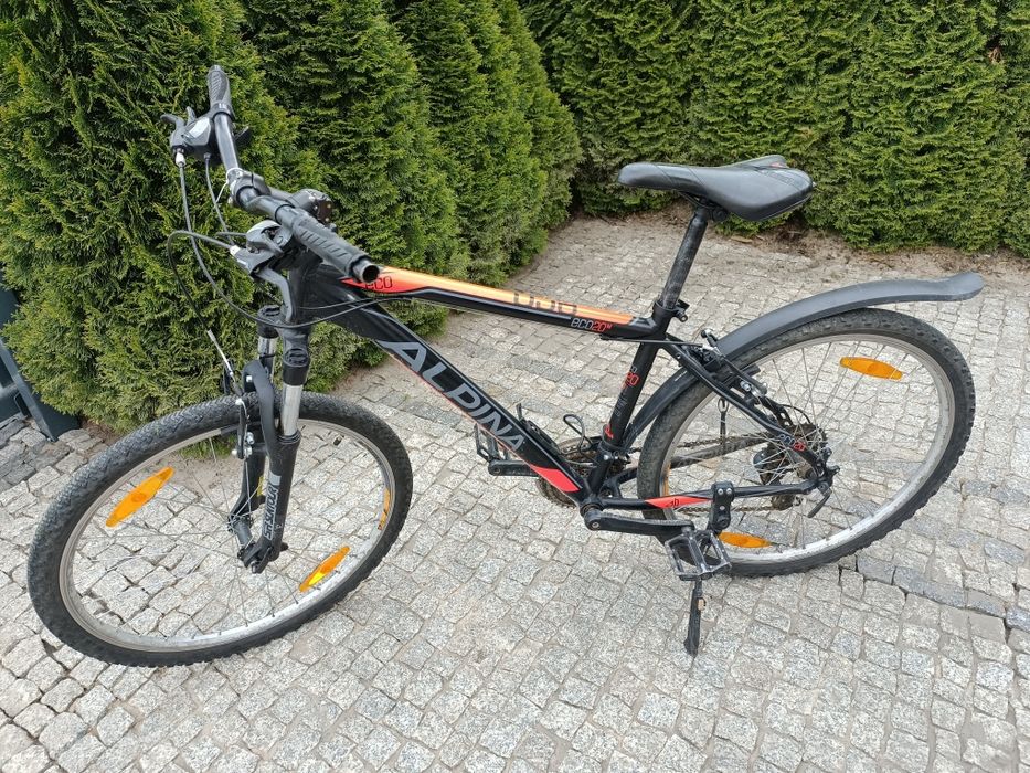 Rower Alpina Eco 20