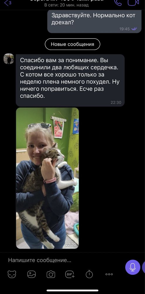 Животные в Европу, США, Канаду. Доставка, перевозка, delivery pets