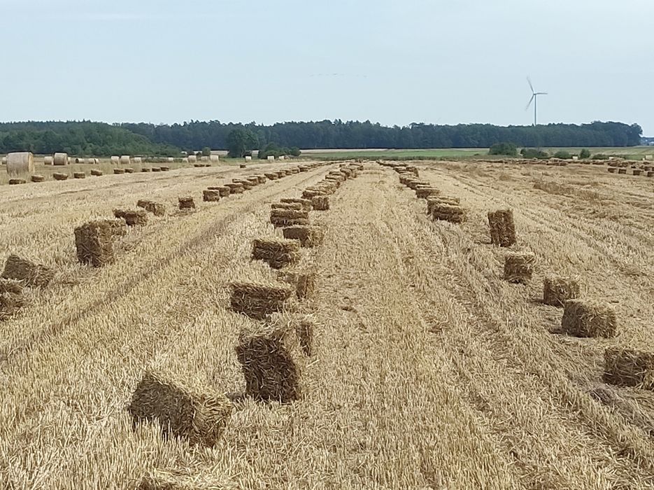 Słoma zbiór 2025 TRANSPORT
