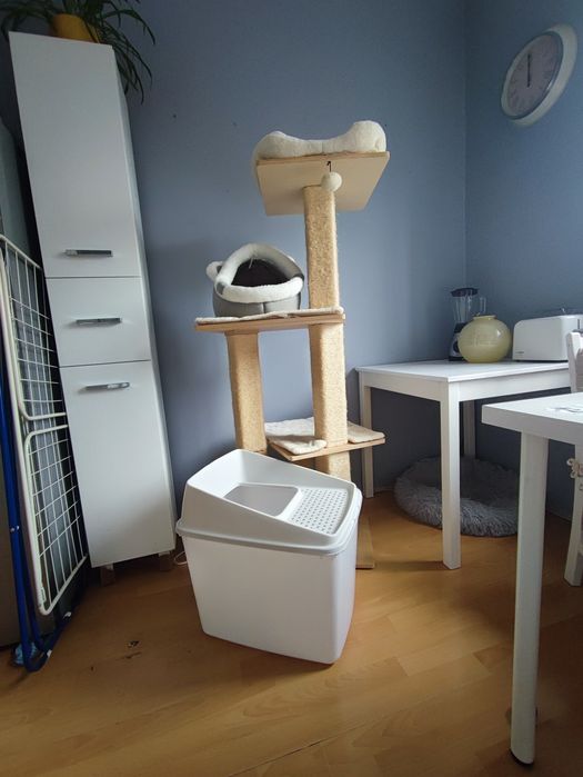 Komplet dla kotka .
