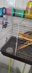Gaiola para hamster