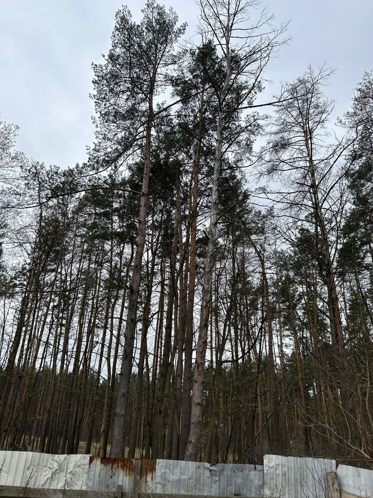 Не мрія, а реальність! Твій дім вже будується