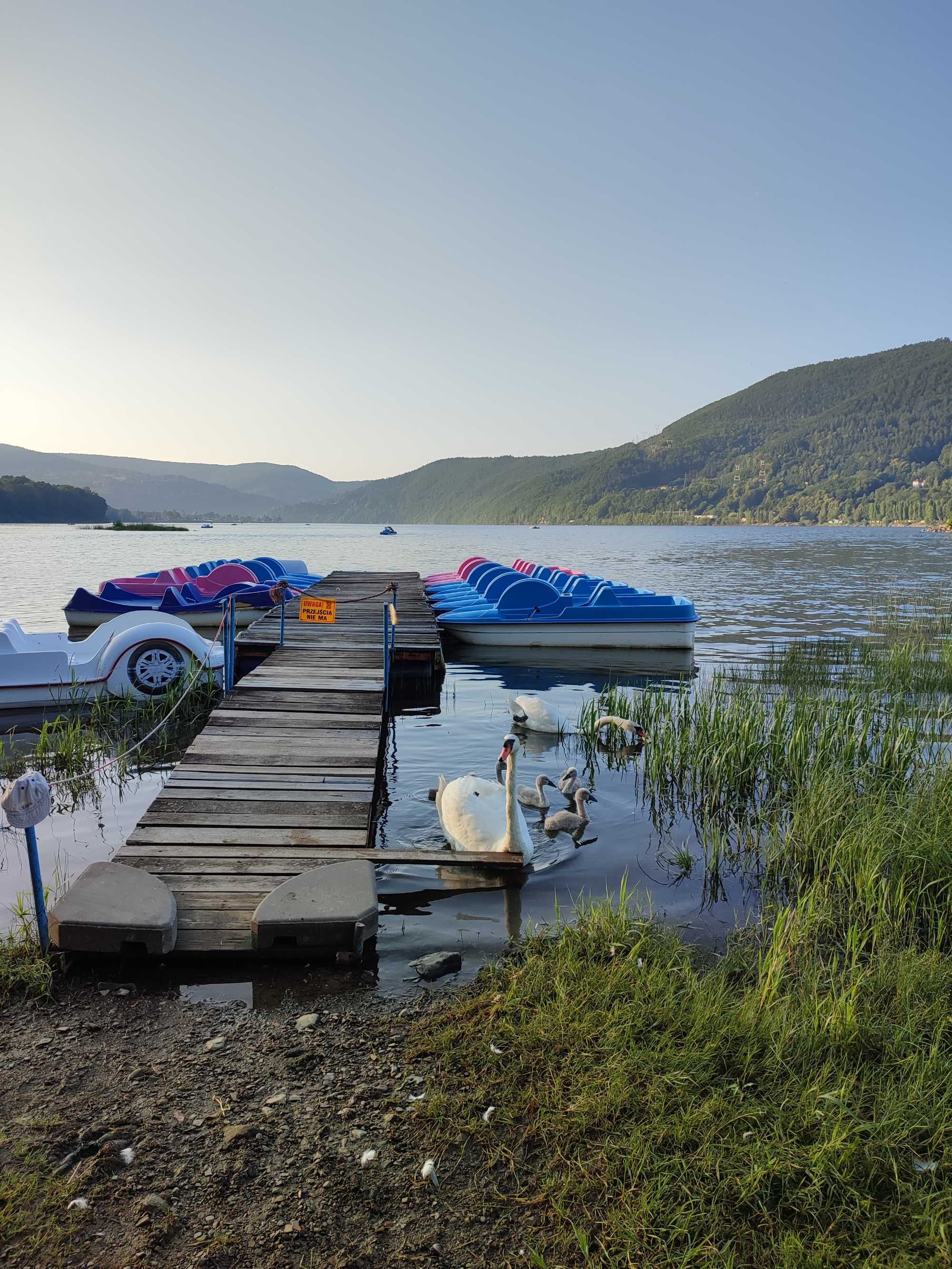 Domek w górach, nad jeziorem, Beskidy, Międzybrodzie Żywieckie