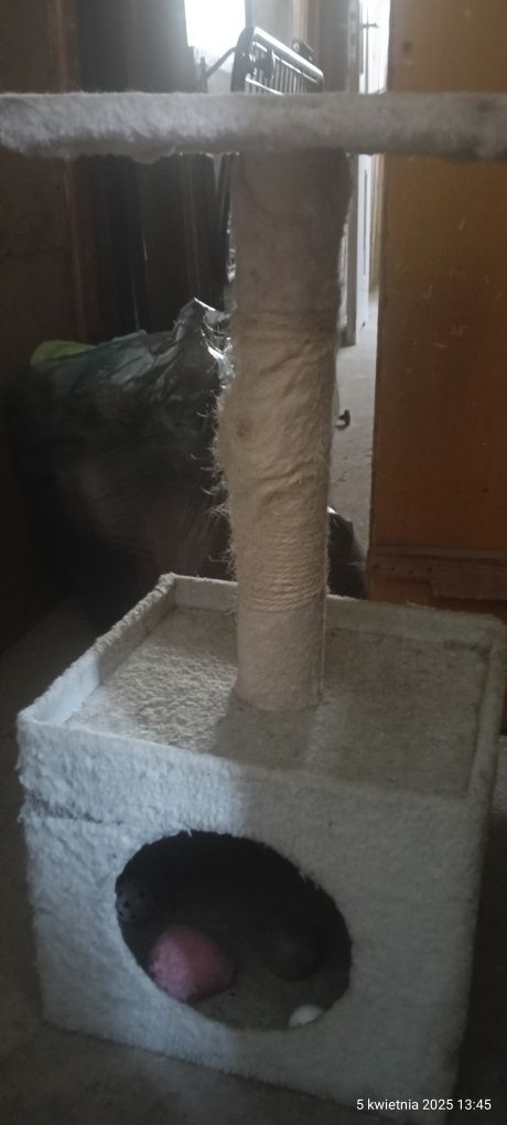 Drapak dla kota plus piłeczki gratis .