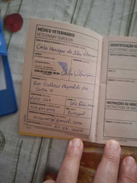 Preciso de um nova lar