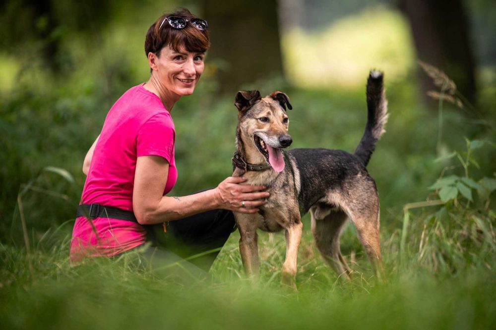 Miszel - piękny, sympatyczny psiak ADOPCJA