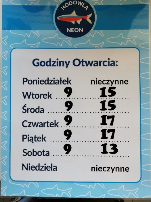 Sum szklisty sumik