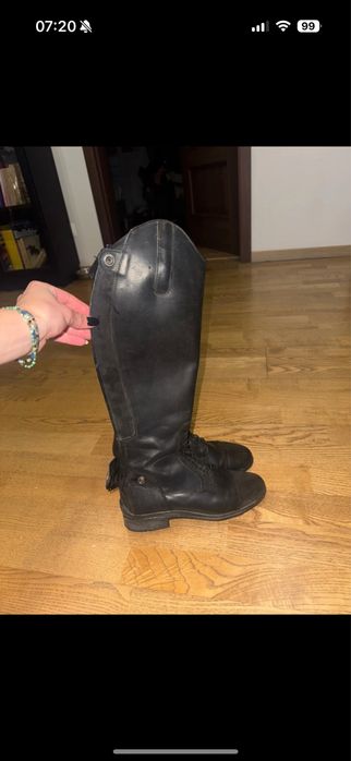 oficerki jeździeckie steeds 36