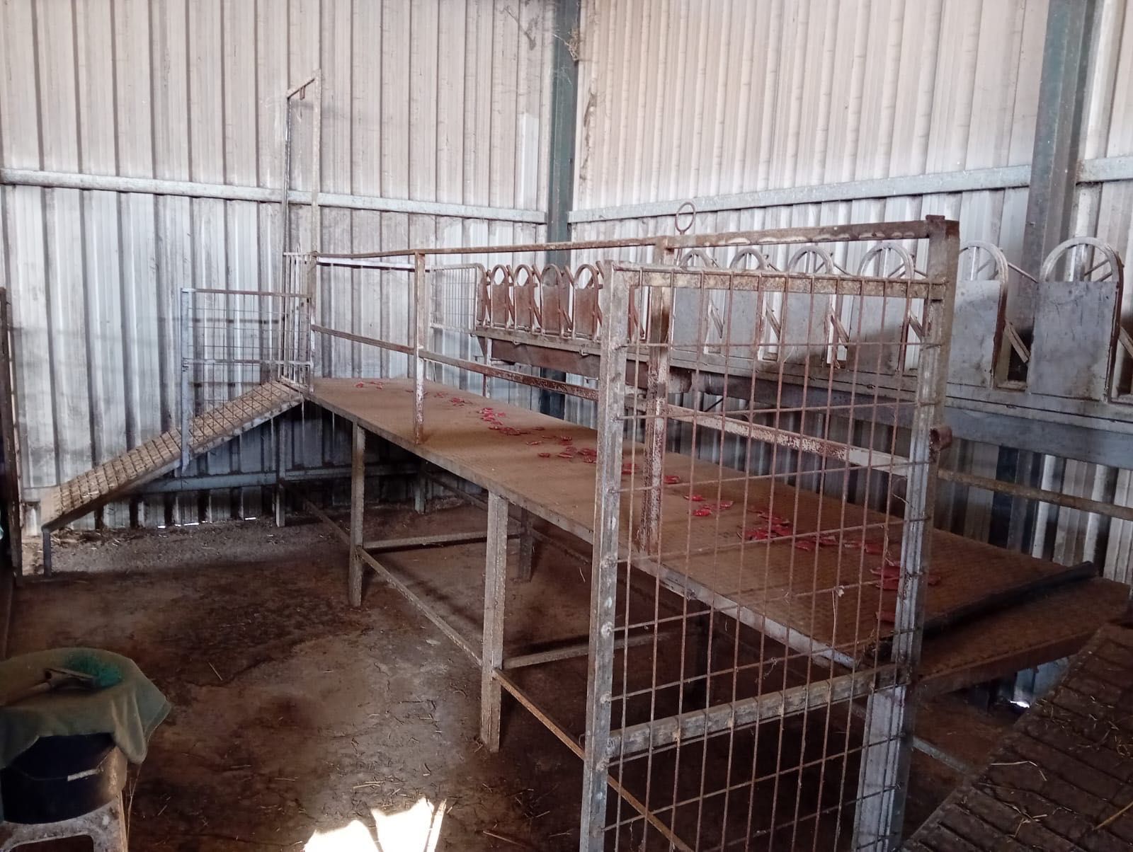 Amarre de 12 animais (item agrícola)