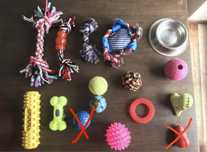 Vários acessórios/produtos/roupa/comida e brinquedos p/ cães e gatos