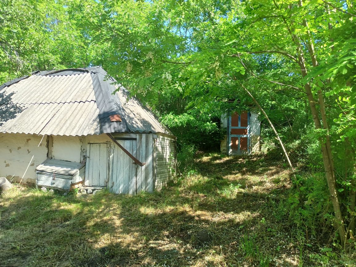 Продам дом с. Шандра, Мироновский р-н,тихое место ! Торг!