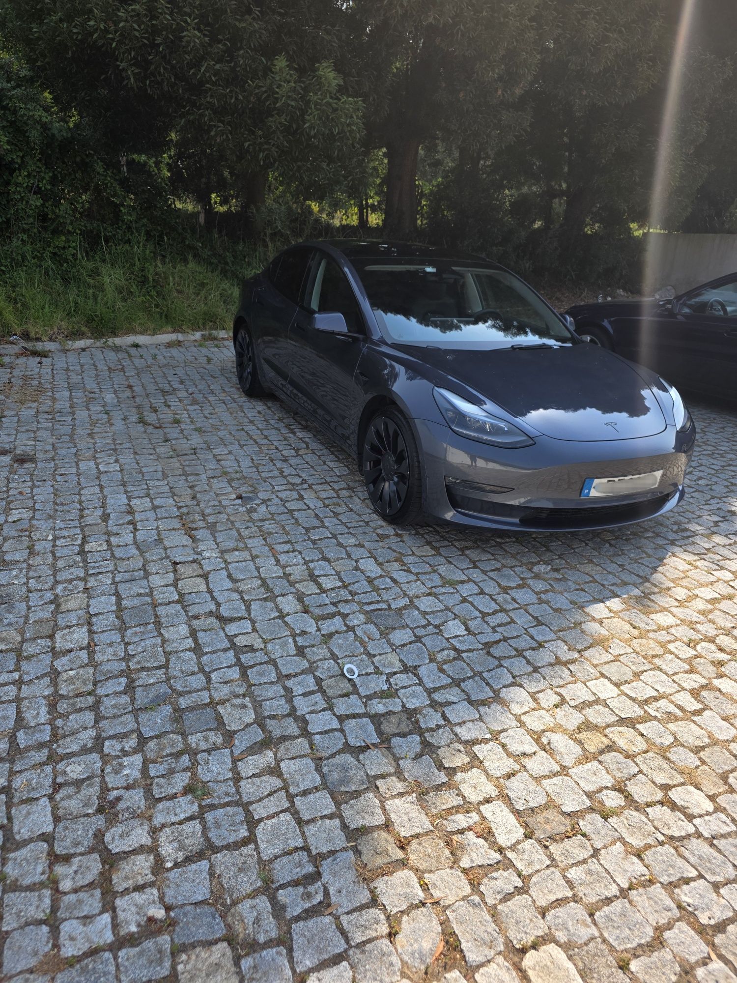 Tesla model performance