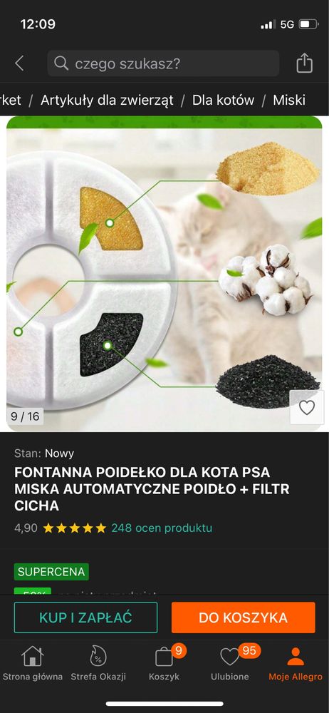 Fontanna dla kota, wysoka jakosc