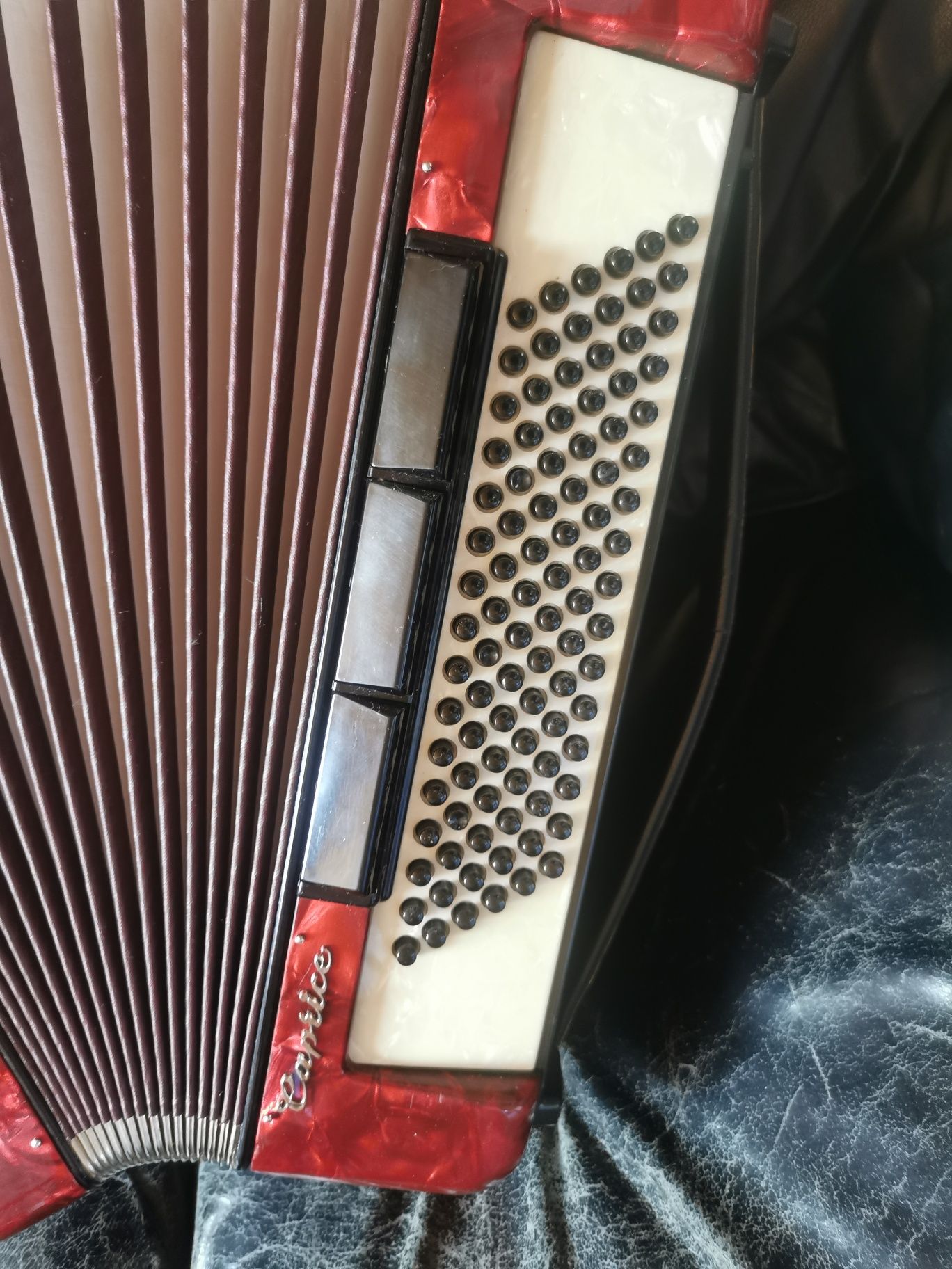 Weltmaister caprice 96 akordeon
