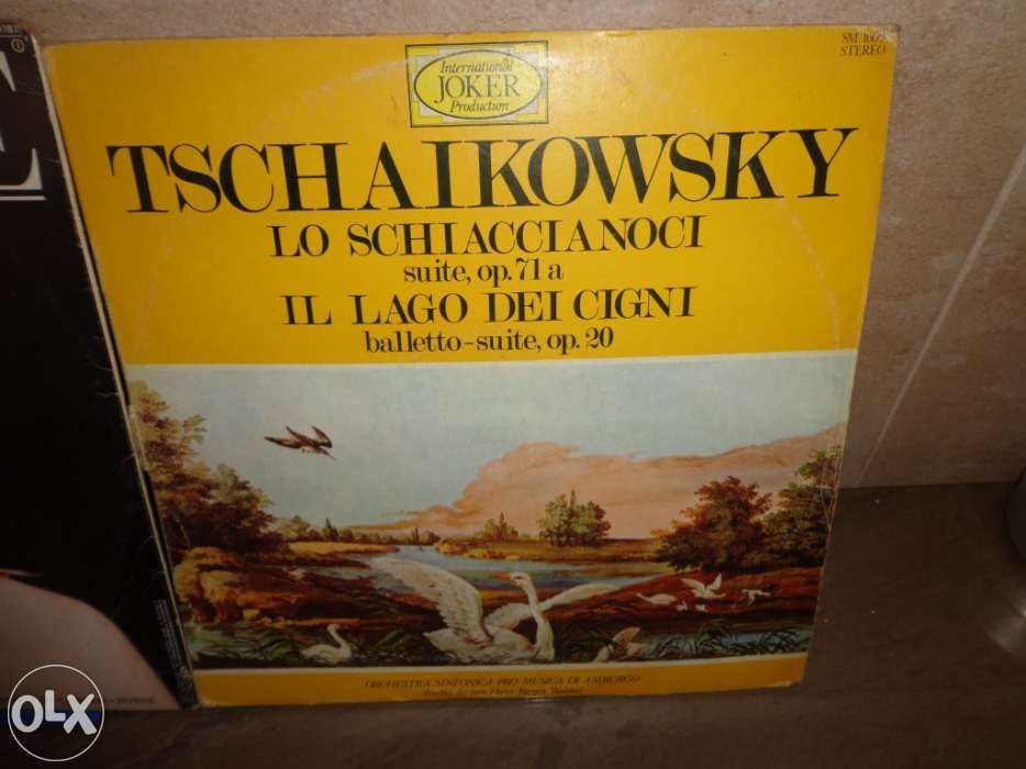 Discos de Vinil grandes e pequenos vários artistas