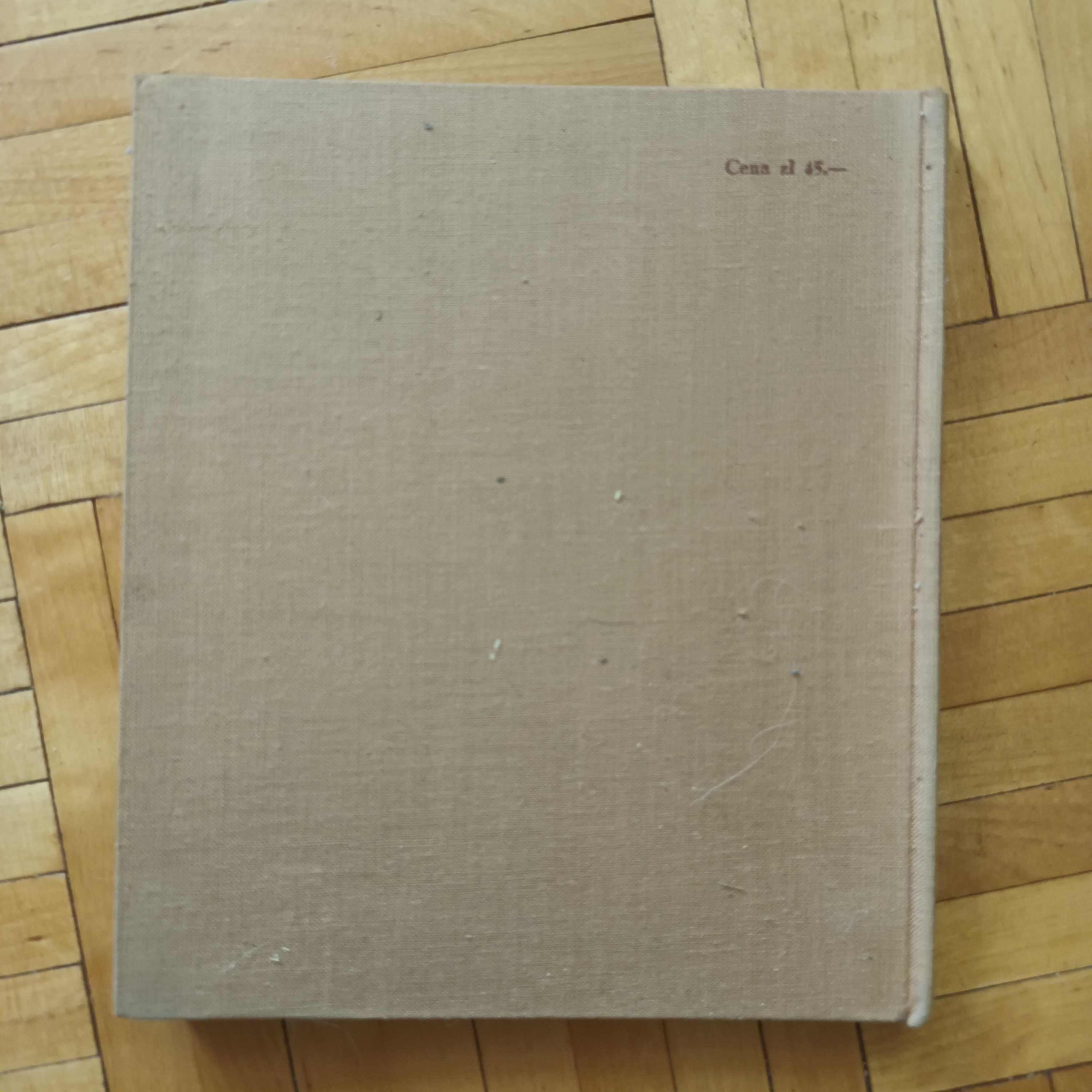 Biblia Rembrandta - Stanisław Krzysztof Stopczyk