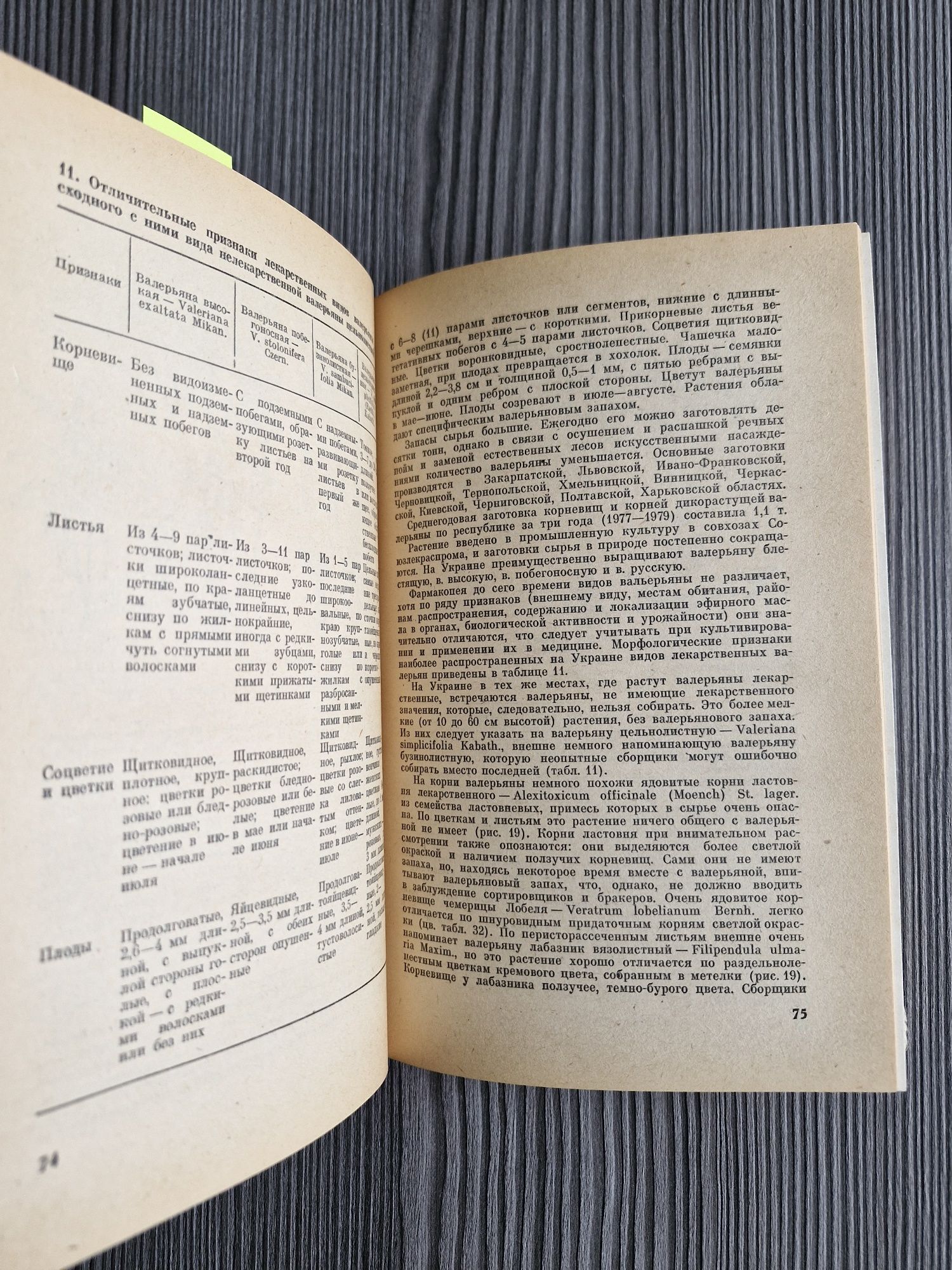 9123. "Informator do przygotowania roślin leczniczych" Język Rosyjski