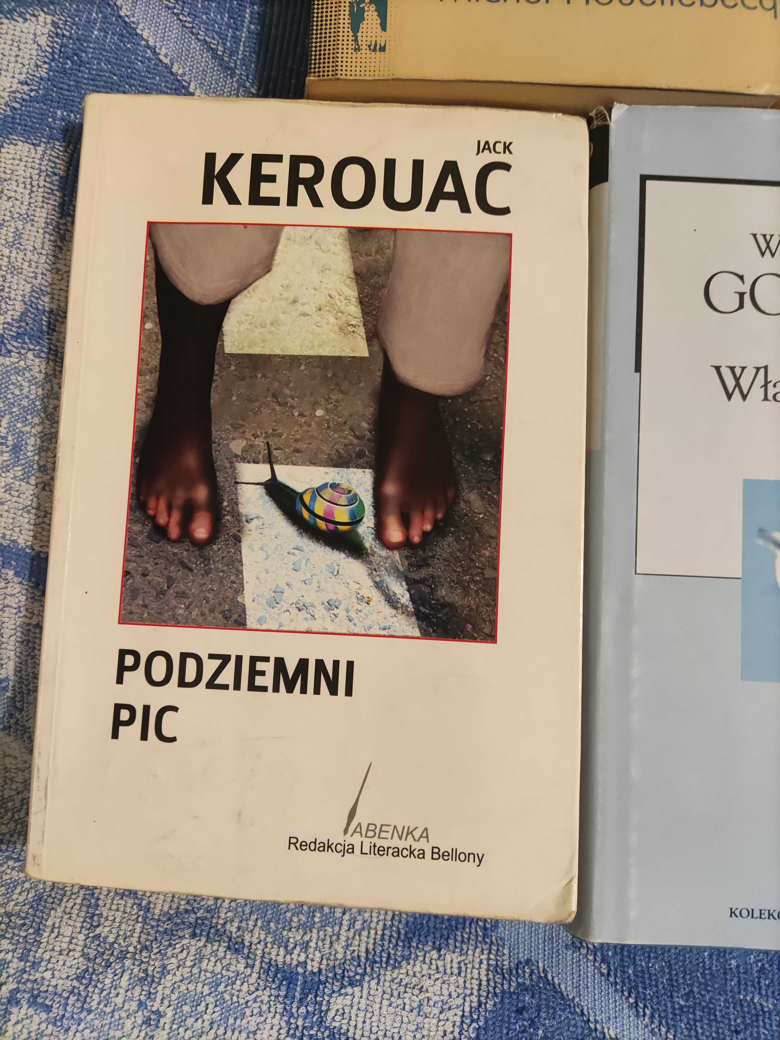 Zestaw książek Czarny horyzonty  , Wina, Cząsteczki elementarne