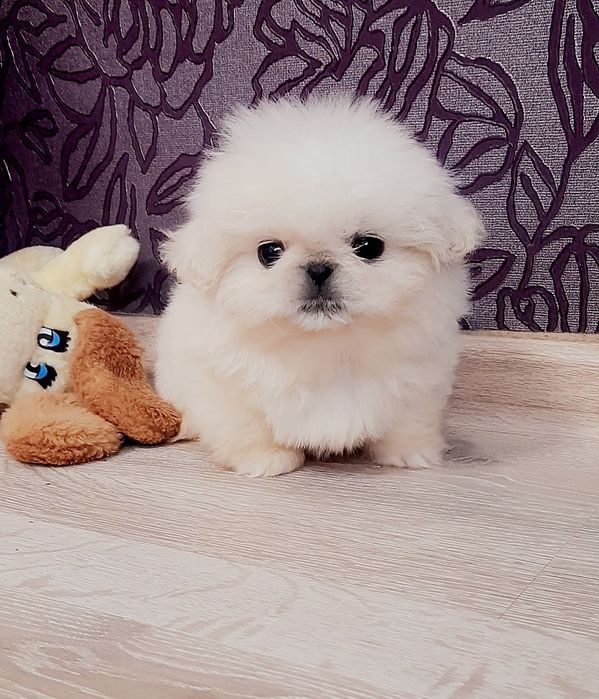 Очаровательные малыши