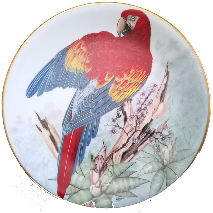 Jóias Vivas da Floresta Tropical - - - - - Pratos