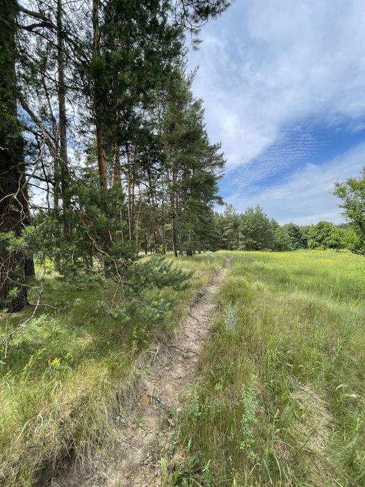 Продаж будинку с. Михайлівка, Черкаський район, Черкаська область