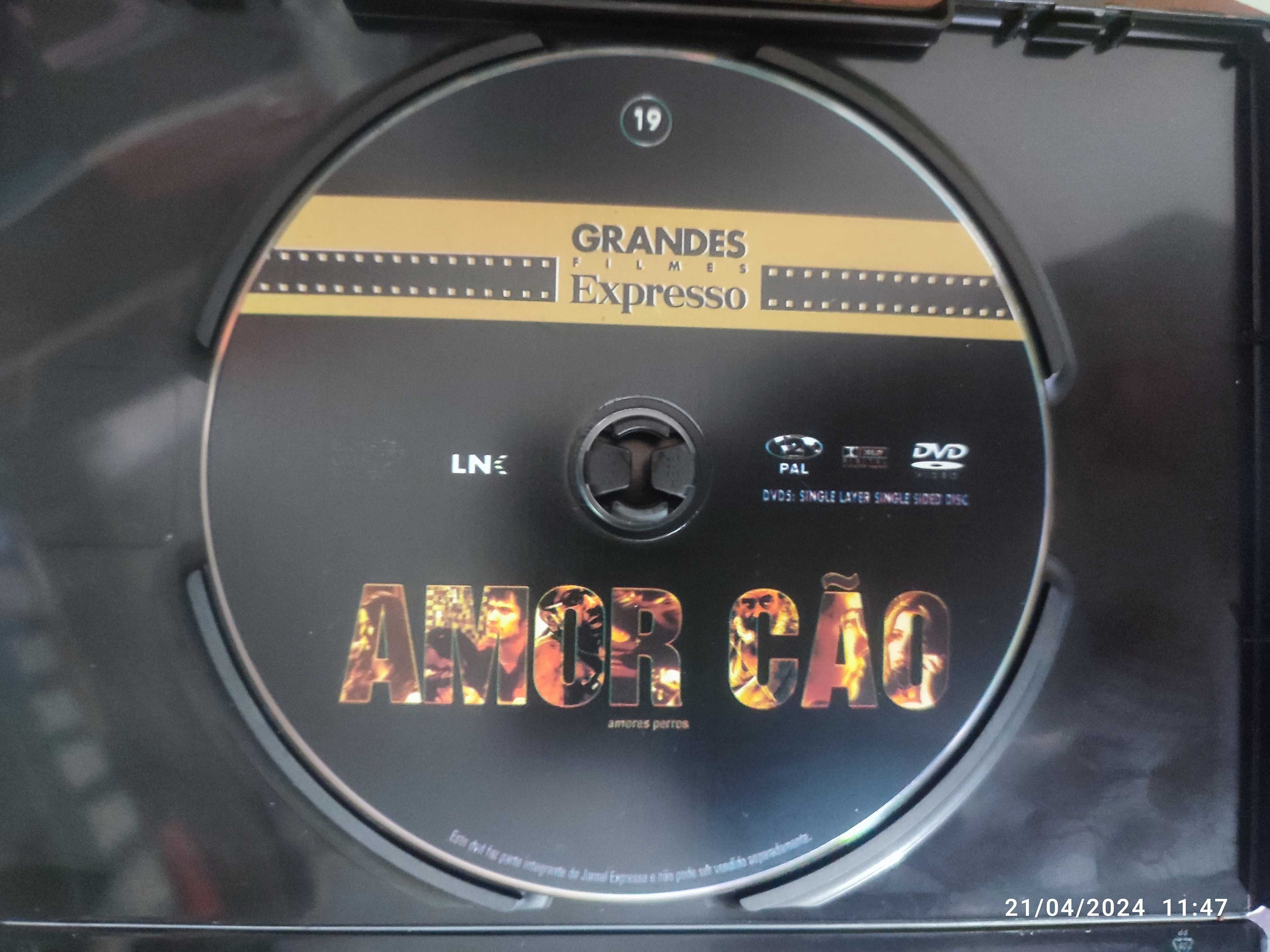 DVD Amor Cão  - Ed Expresso