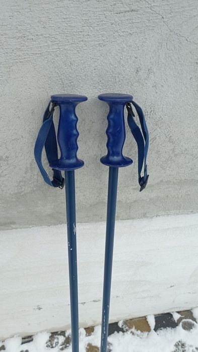 Палкі для спортивних прогулок