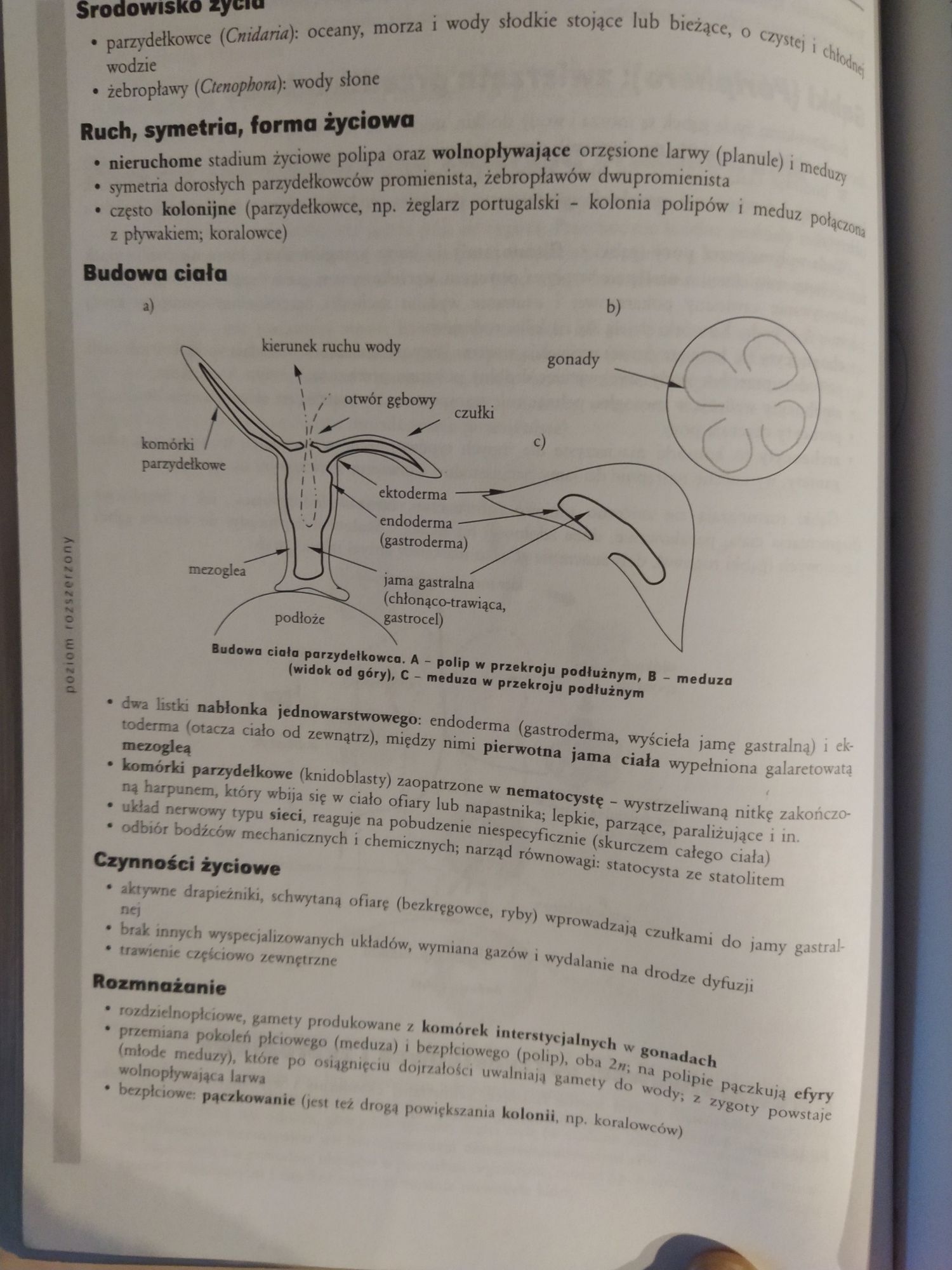 Repetytorium maturalne z biologii Greg