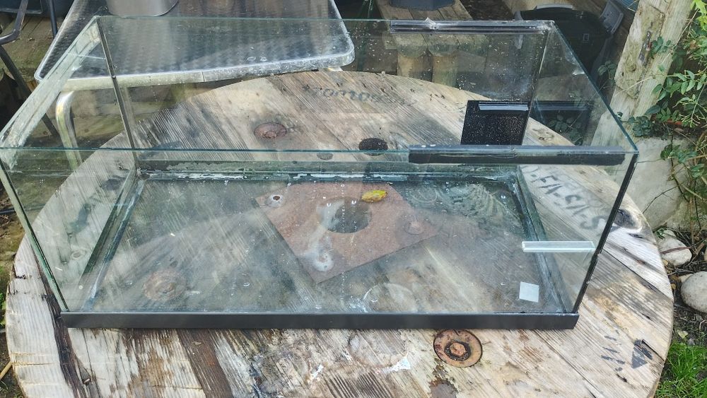Vendo aquario para tartaruga