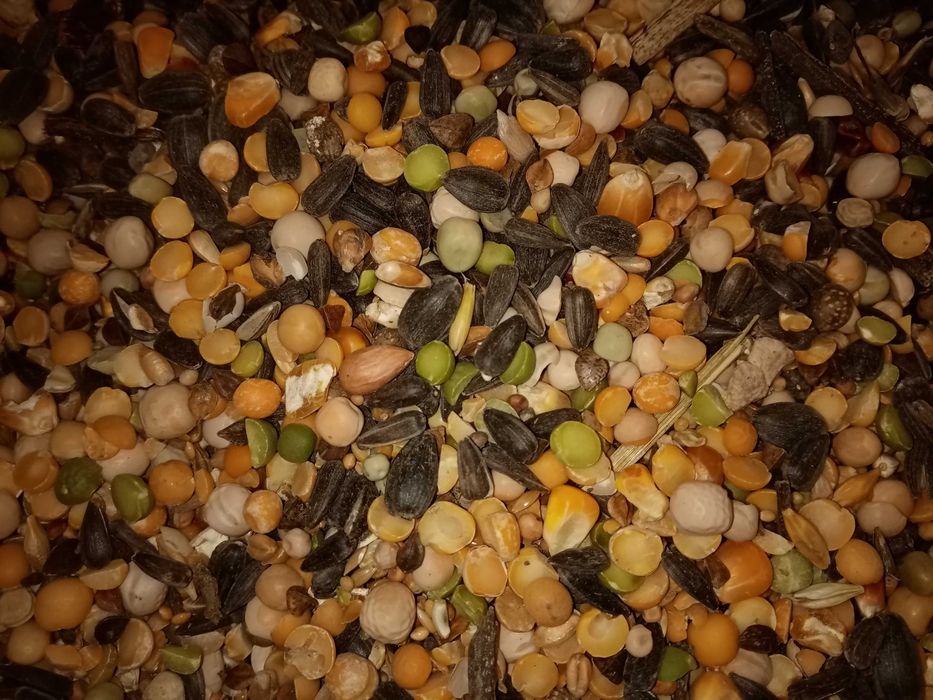 Karma dla gołębi grube ziarna mieszanka 25kg