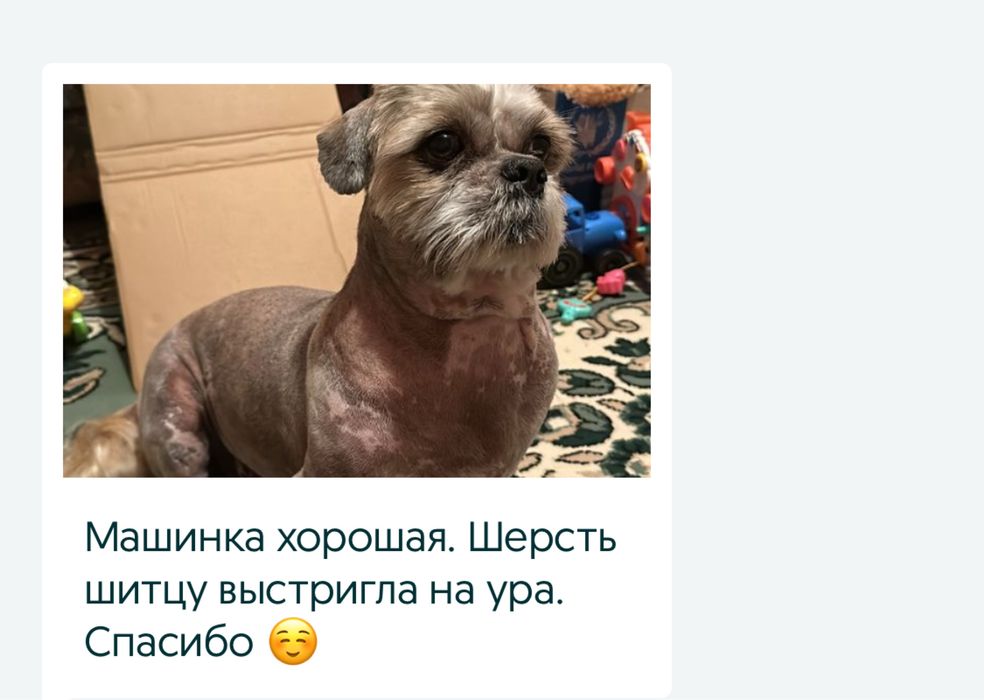 Машинка для стрижки животных собак кошек котов груминга gemei gm634