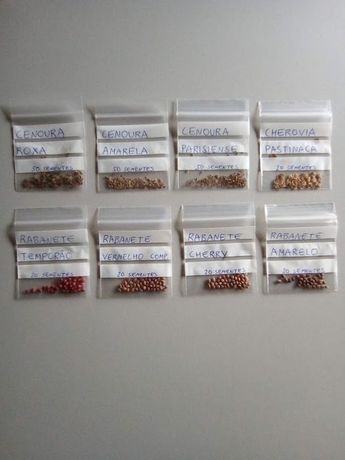 Cenouras e Rabanetes - kit económico de sementes - 8 espécies