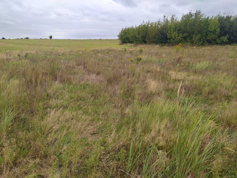 Działka budowlana 1.120 m2 - Piaskowice