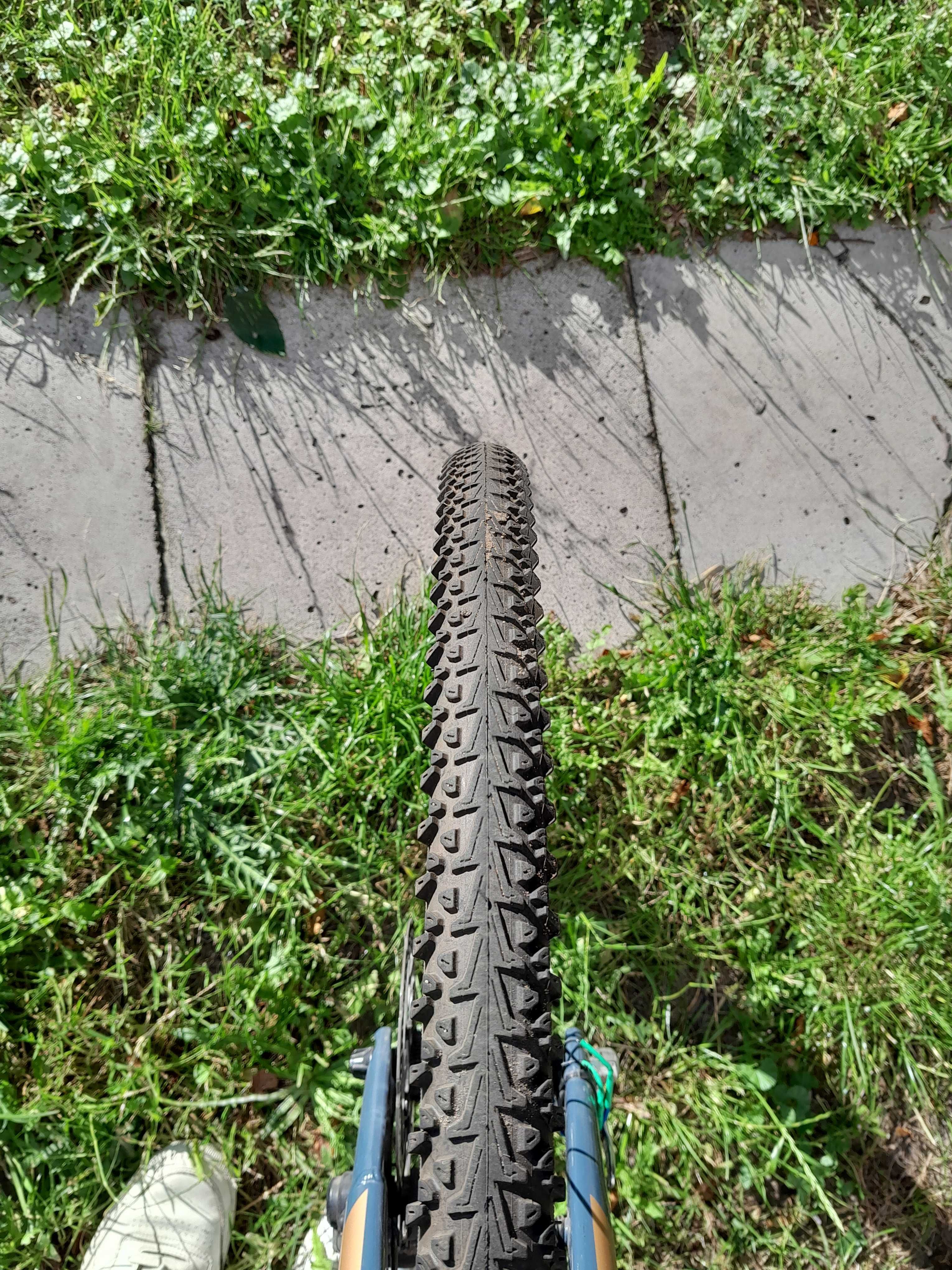Rower gravel bulls daily grinder 1