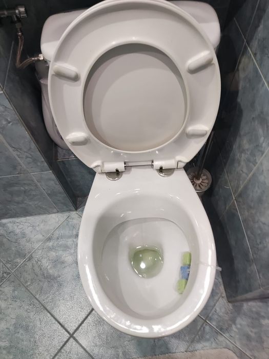 Sedes, klapa wolno opadająca
