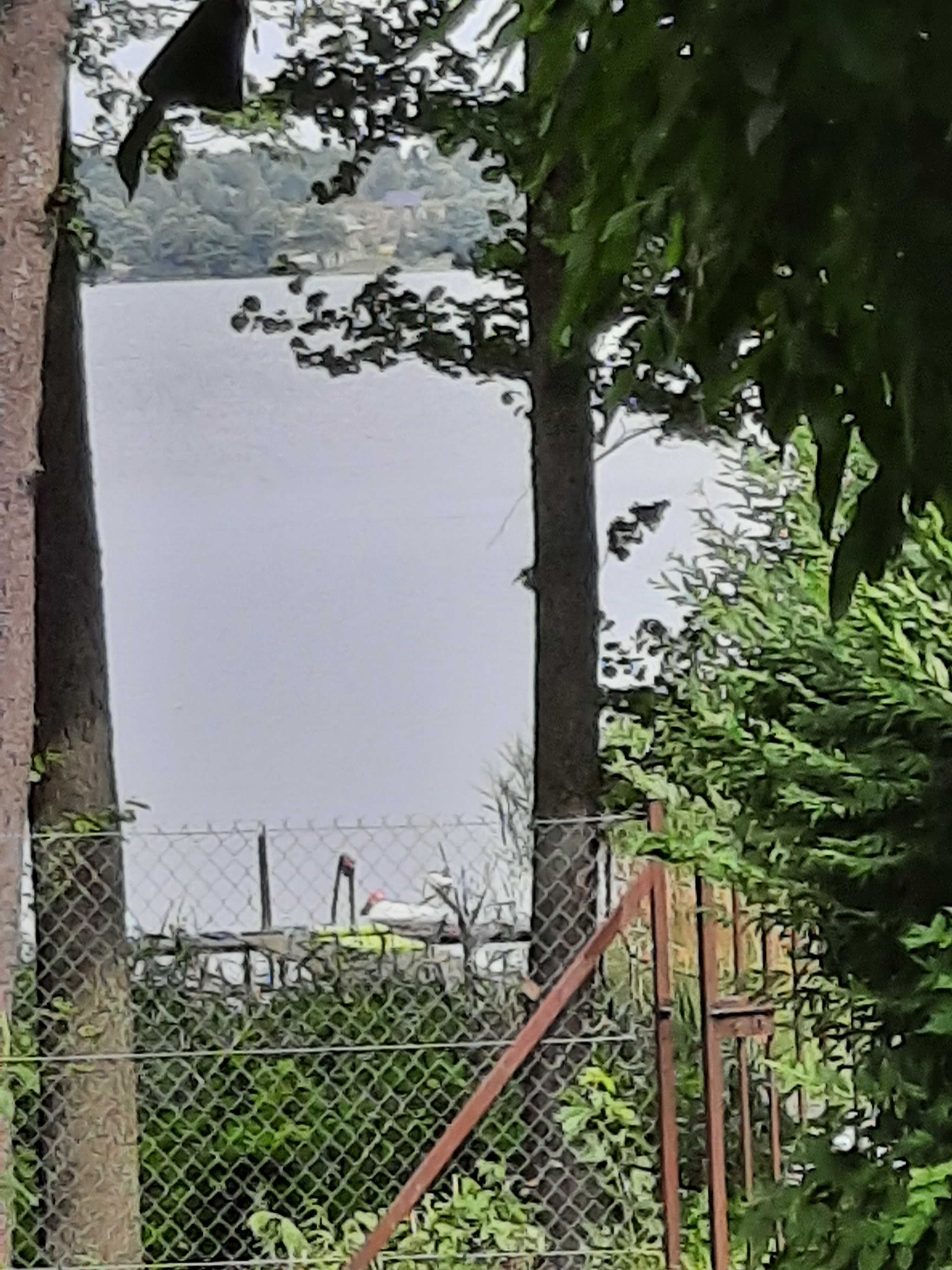 Domek letniskowy na półwyspie Kobylocha -jezioro Sasek Wlk  k/Szczytna