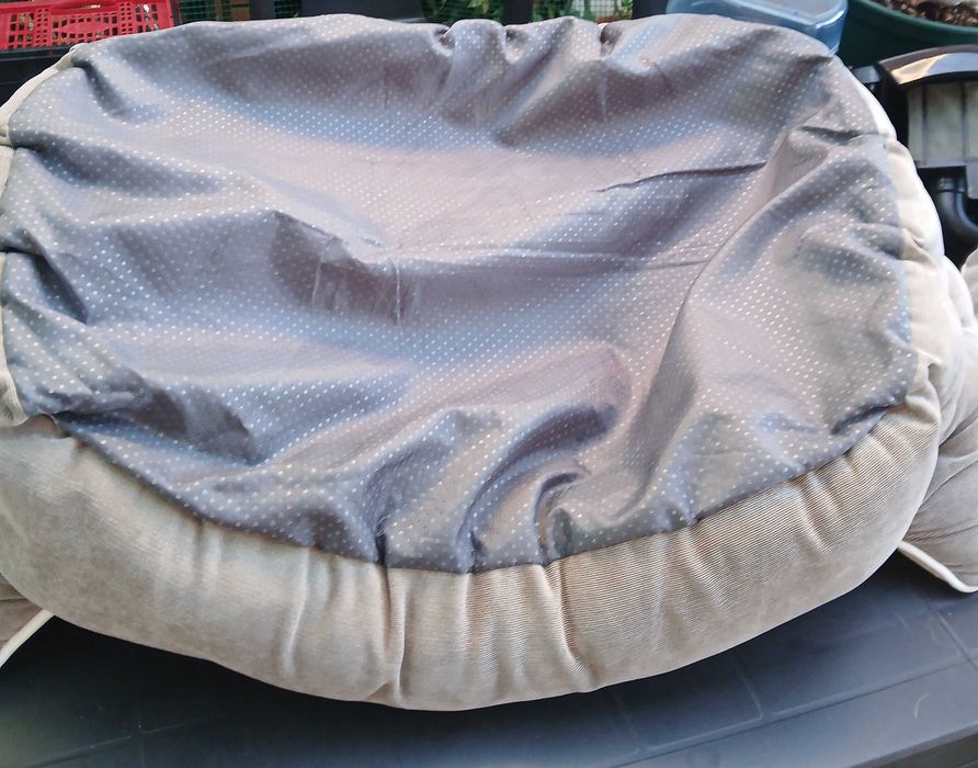 Cama cão usada 2 vezes