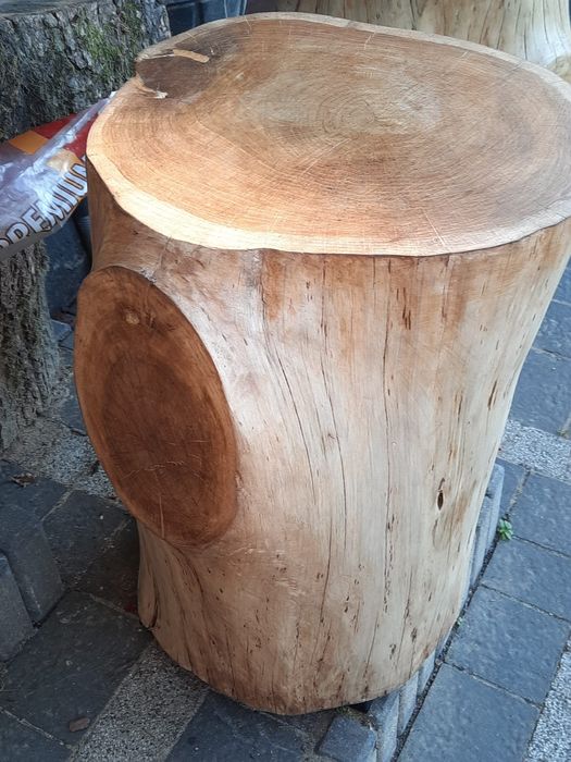 Stolik kawowy z pnia dębu na metalowej podstawie.