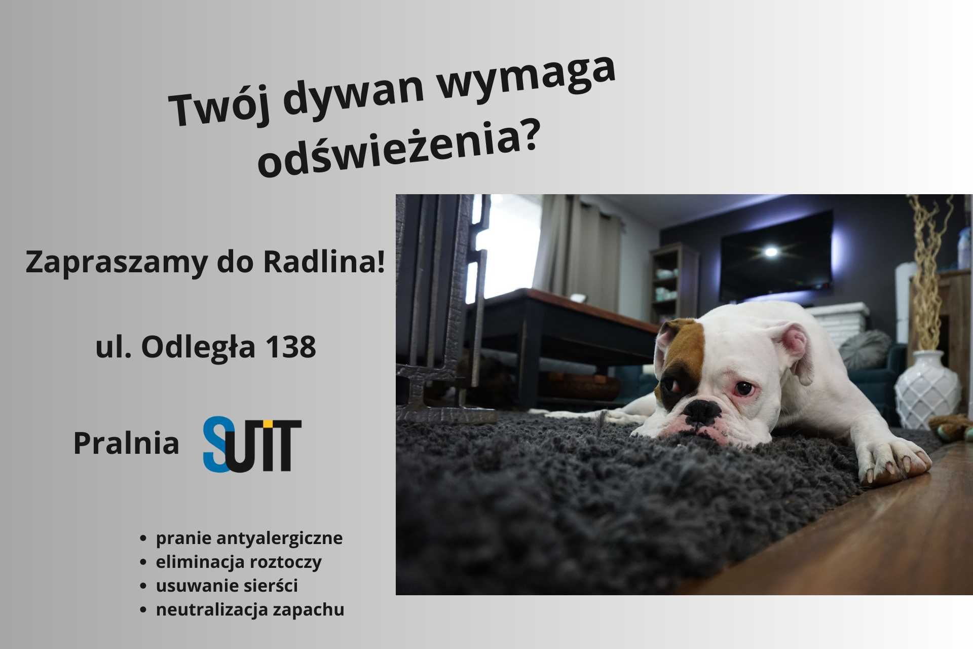 Pranie dywanów Radlin, Wodzisław, Rybnik i okolice