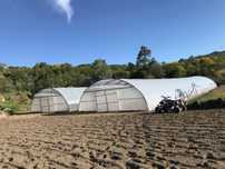 Estufas agriculas
