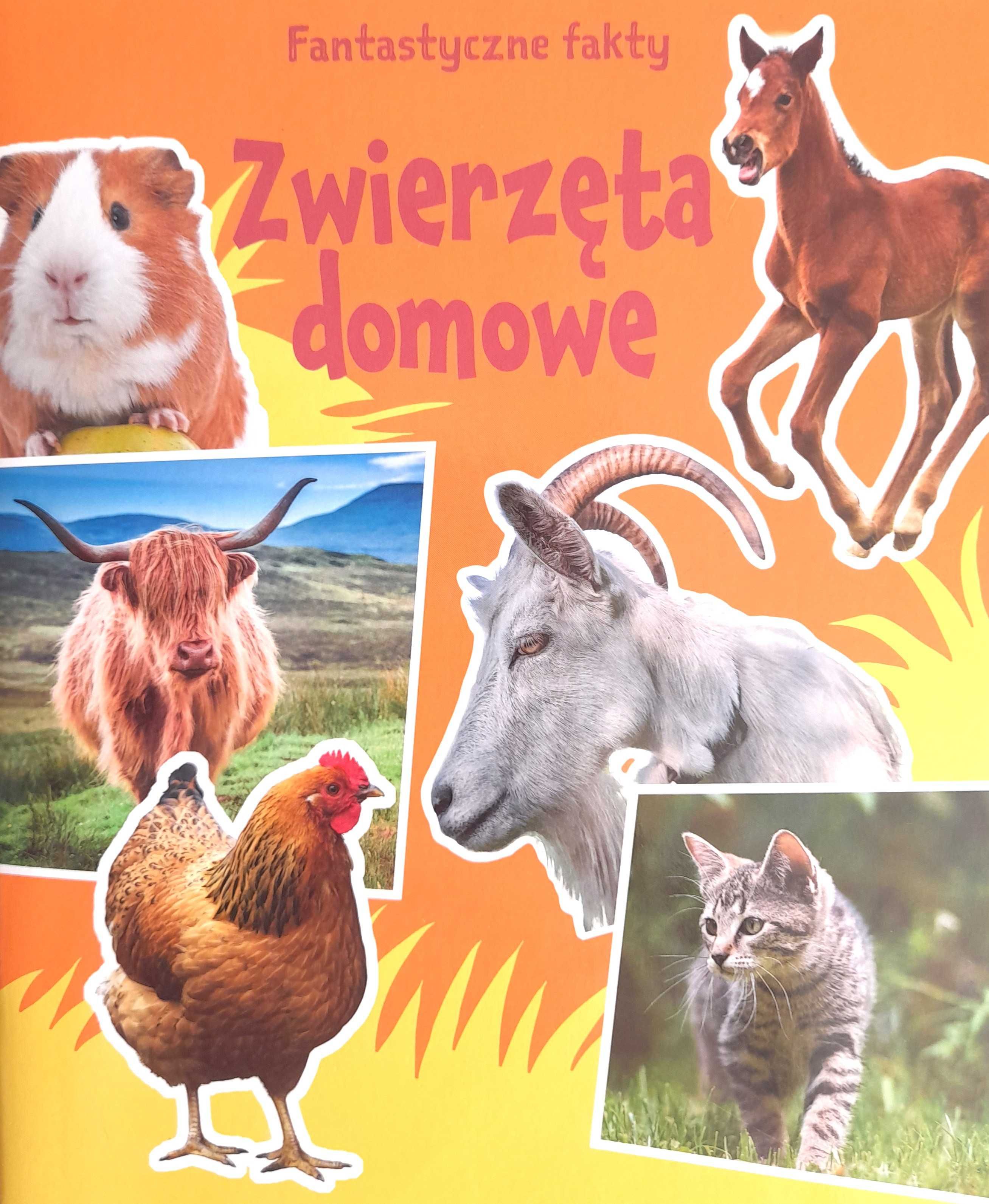 Fantastyczne fakty. ZWIERZĘTA DOMOWE