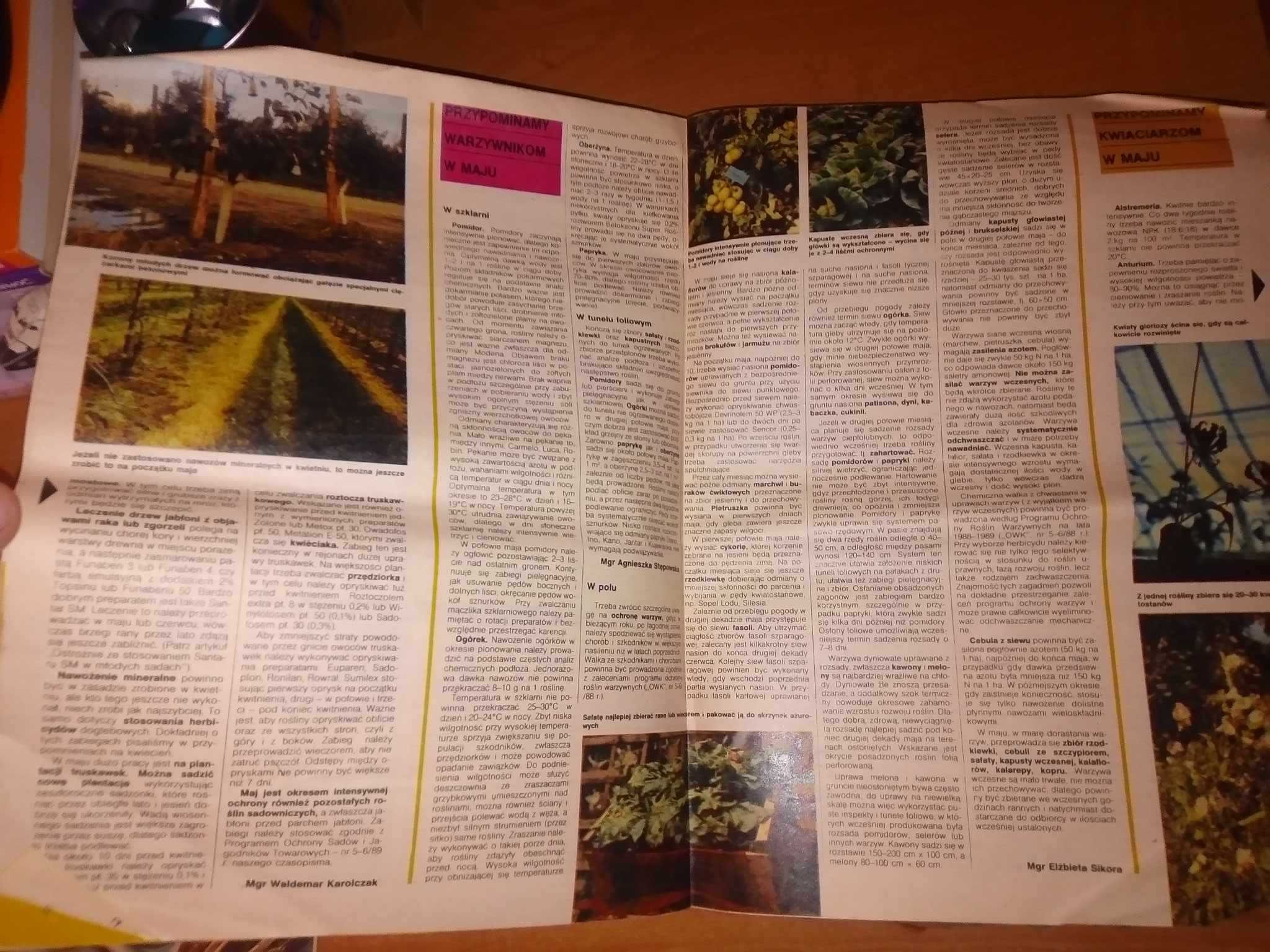 Owoce warzywa kwiaty dwutygodnik 8 1989 ogrodniczy gazeta czasopismo