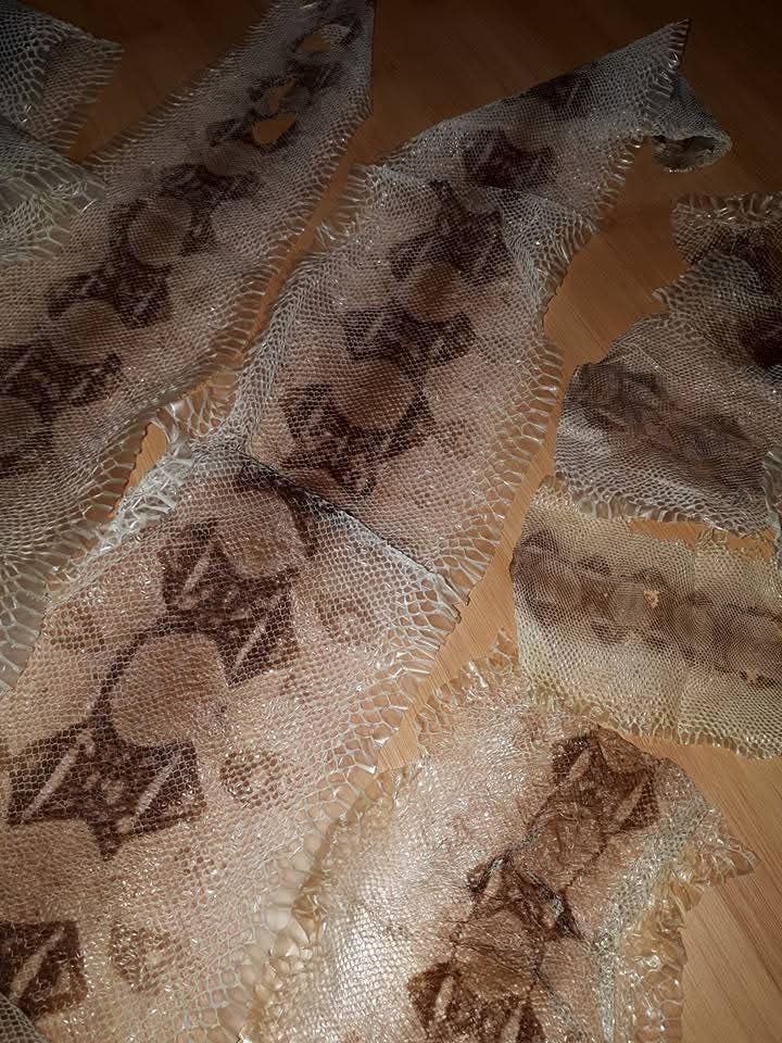 Выползок змеи .   есть кусками есть полный выползок