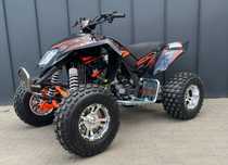 Bashan  Berreta EGL mad max 250