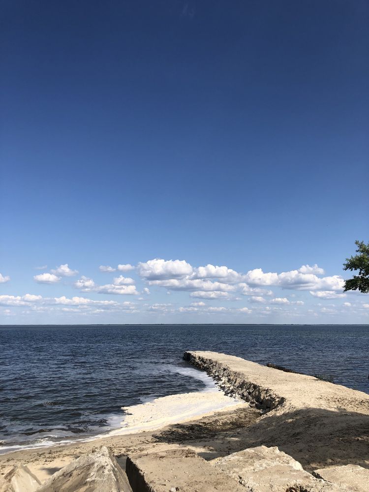 Старые Петровцы. Побережье Киевского моря, хвойный лес, закрыт. террит