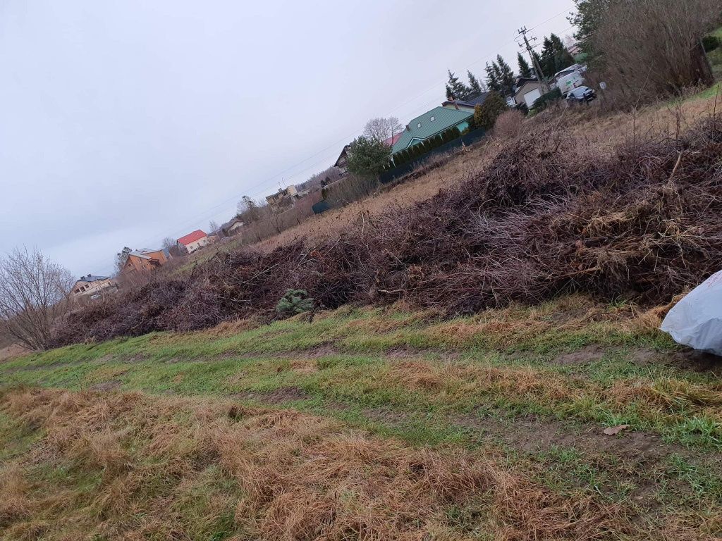 Sprzątanie ogrodów,dzialek,porzadkowanie,oproznianie