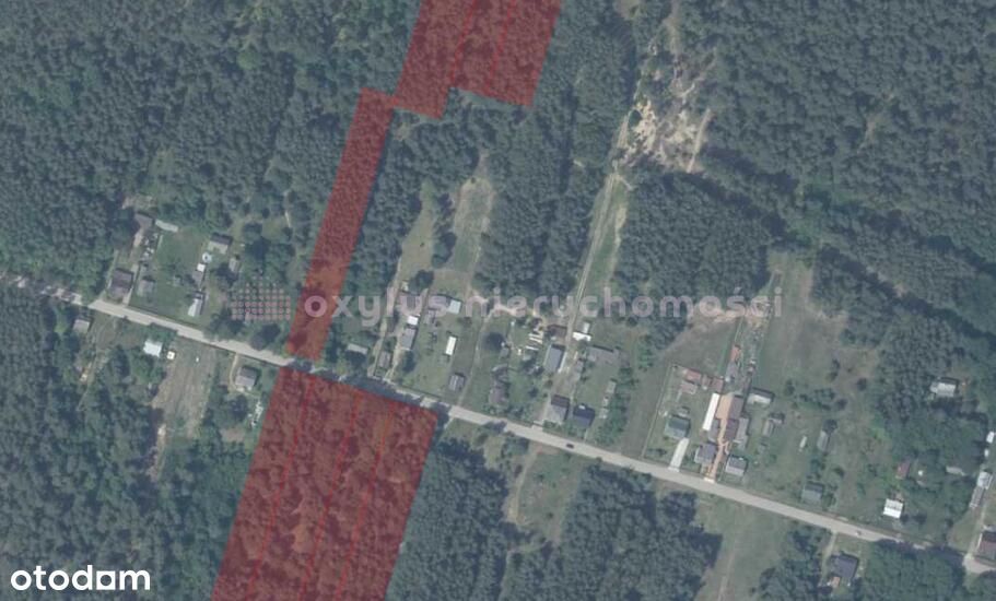 Działki w Anielinie – 14 ha z potencjałem