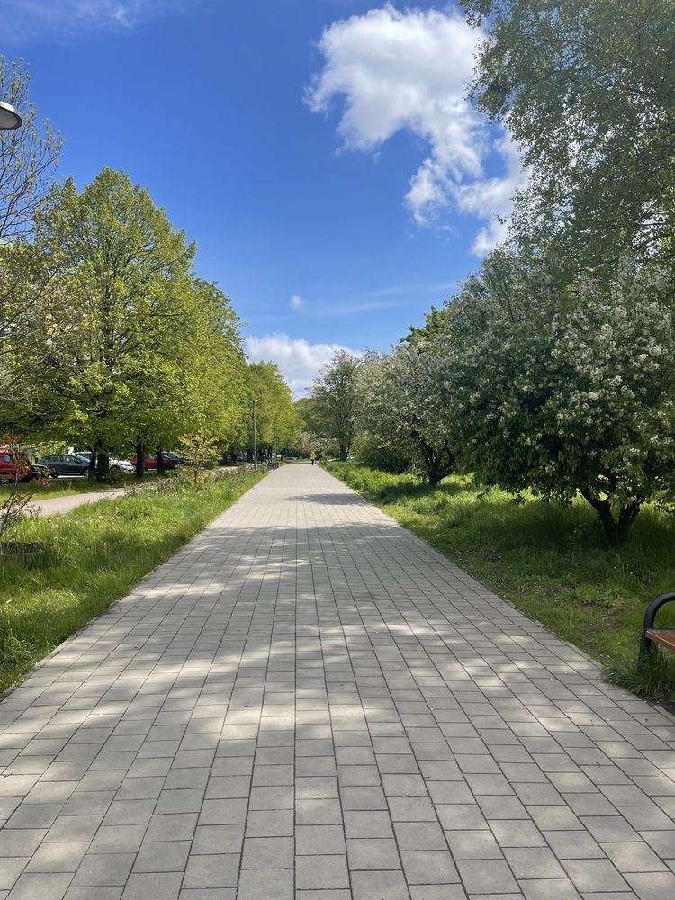 TRAPER Sopot, mieszkania wakacyjne, las, plaża