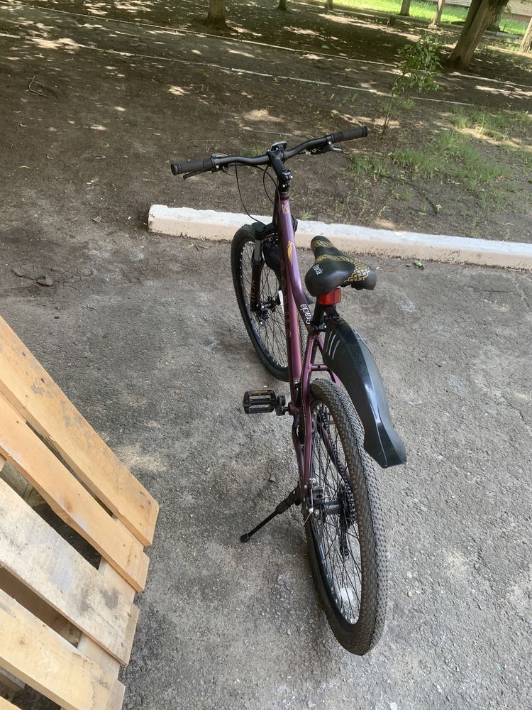 Велосипед с алюминиевой рамой cobus gracia