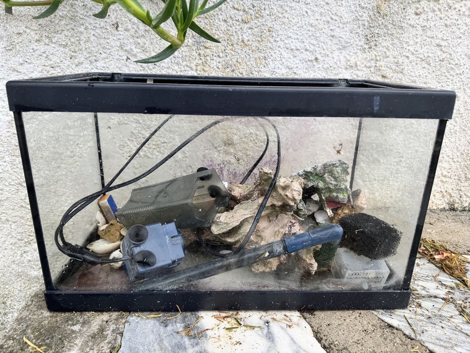 Aquario de 50cm com acessorios